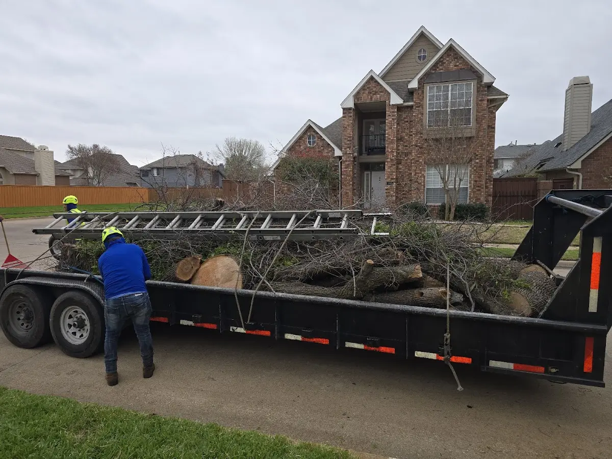 Expert Lot Clearing with proper safety equipment in Mcdaniel
